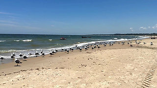We Travel to the Beach of San Luis