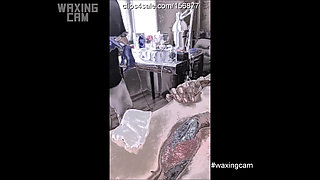 camera is peeping. waxing of a male cock and ass #93