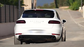 The Fauve enjoys a moment of respite - Jacquie et Michel TV