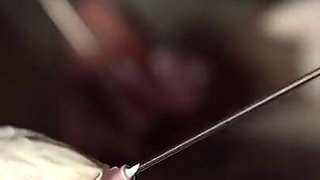 A Crown of Needles, the Only Crown You Will Ever Wear!