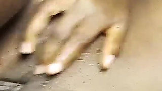 Solo Girl Got a Better Huge Dick Fuck and Cum