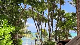 Mia Khalifa Nude In A Hammock Sextape​ Onlyfans Video