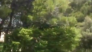 Wild Girl Coming From The Woods Has Craving For Cock