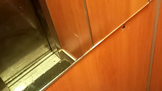 Exhib elevator
