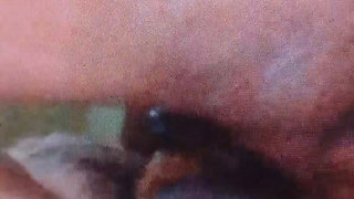 my close up fuck to my wife fuck fuck