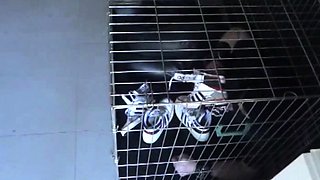 BDSM Porn HD scene 1036