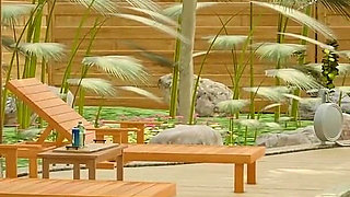 I'm a Cuckold, My Wife Sucks a Big Black Cock by the Pool on the Beach