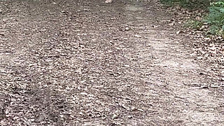 Humiliation in the Forest...