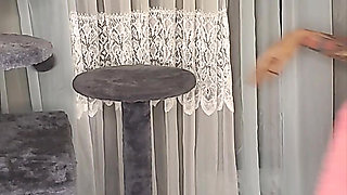 Stuck Shiloh : Cathouse Edition