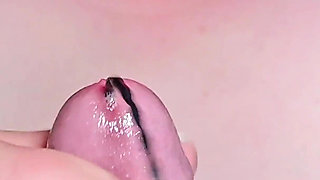 Blowjob - Various Fetishes, Something for Everyone