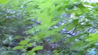 Russian Amateur Babe in Steamy Woods Encounter