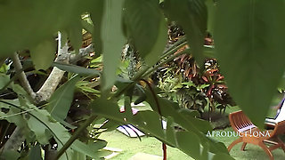 Pissing's and Golden Showers From Bali 2003 Trip Part 3