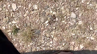 I'm Only Going for a Walk Today for One Reason