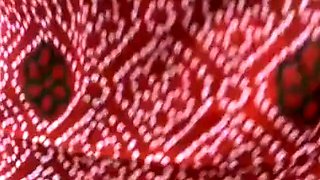 Aunt's Naughty Video Call