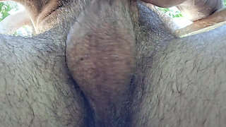 Big hairy balls