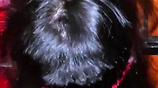 Gloryhole Christmas Gangbang