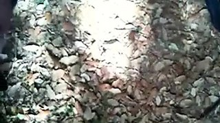 Bearded Man Masturbating Outdoors