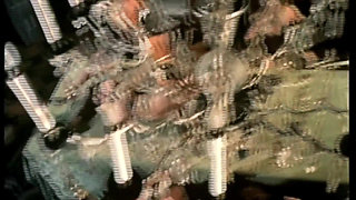 Moana Masturbates for You While Reliving an Incredible Orgy with Angelica Bella