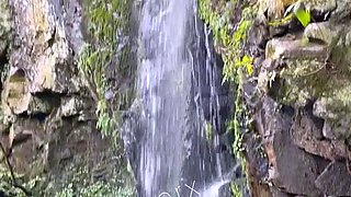 Extreme amateur pov blowjob by hot brunette latina