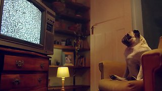 Anna De Ville as dirty maid – super messy slaver blowjob & drool have fun (video xxx italiano)