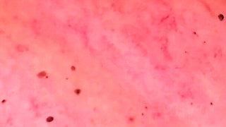 Aftermath Compilation