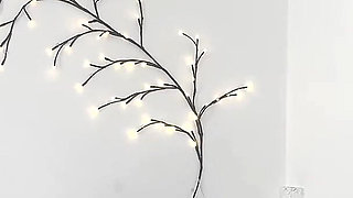 Homemade Interracial Creampie