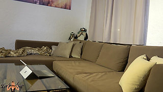 Account Extreme: Insurance Trigger Clawed!