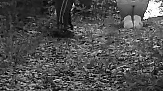 Pet Girl Obedience Training