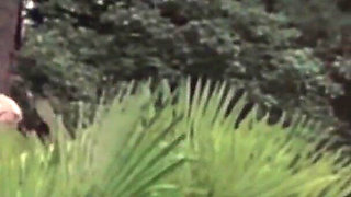 Foursome by the Pool