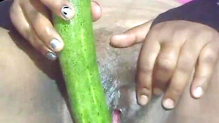 Today, Indian Bhabhi Quenched Her Desire by Inserting a Cucumber Into Her Pussy