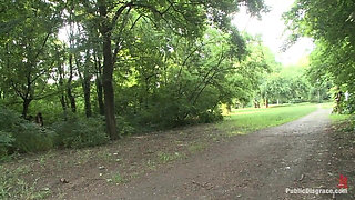 Fucked on a City Bus