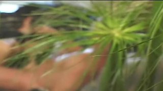 School Ball After Party: Nick Manning Fingers Jade Moore's Tight Pussy in Doggy Style