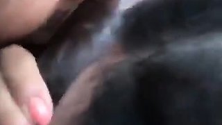 Sexy Slut Gives A Big Cock A Blowjob In The Car