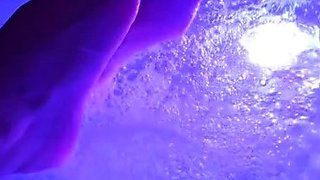 amateur vip ass masturbating on live webcam