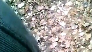 Outdoor Daddy Cruising