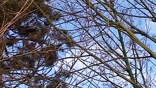 Mature woman having fun outside