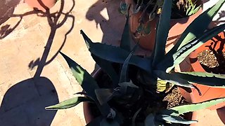 A super sexy brunette massages her big boobs