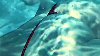 Join Me in the Pool, on My Mv Crush