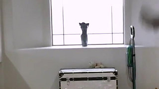 French Cleaning Maid Fantasy Eva Long HD