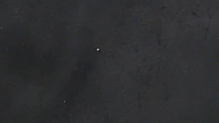 Sausage Party, Part 2