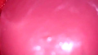 Inside a Camgirl Cervix POV Camera in Vagina with Big Dick Toy