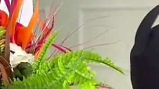 I Bullied Him with My Farts.