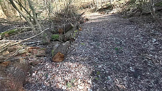 Naked Pussy Spanking in the Woods