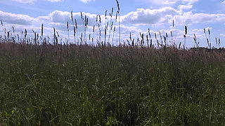 A Teen Girl Allowed an Exhibitionist to Cum on Her