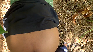 When I Went to the Forest to Pick Grain