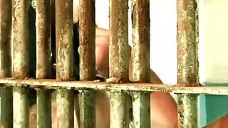 Dominatrix mistress April - Correction in cell