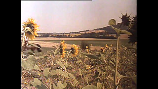 Scandalous Provincial Ladies