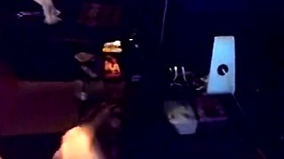 hmdt - Girlfriend Gives Deepthroat POV