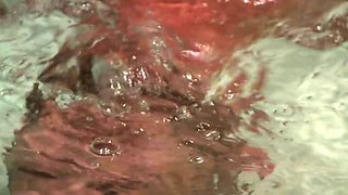 Tryp hangs inverted over a tub of cold water