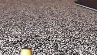 Giantess Hide and Seek with Tiny Ex BF!